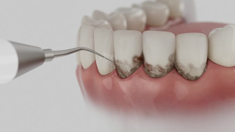 Reliable Dental contractor in Davidson, NC by Dentist Open Now